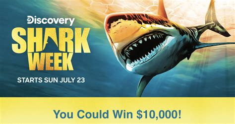 freebieshark sweepstakes|Sweepstakes .